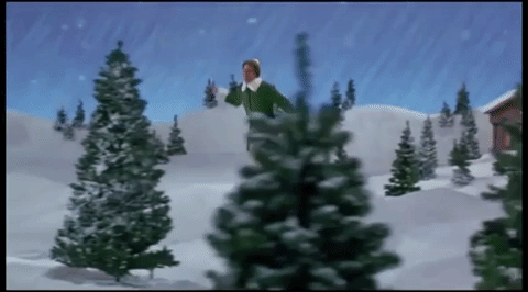 giphy (4).gif