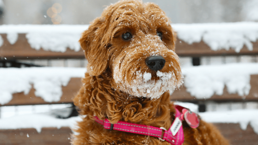 Blog Featured Image sizing (3)